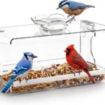 Clear Window Bird Feeder