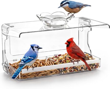 Clear Window Bird Feeder