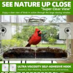Clear Window Bird Feeder