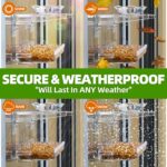 Clear Window Bird Feeder