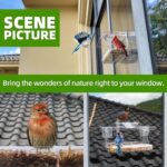 Clear Window Bird Feeder