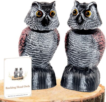 Two-Pack Bobblehead Owl Decoys