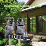 Two-Pack Bobblehead Owl Decoys
