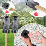 Two-Pack Bobblehead Owl Decoys
