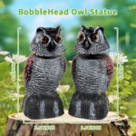 Two-Pack Bobblehead Owl Decoys